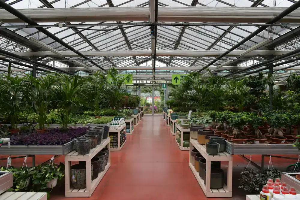Lush view of our botanical store interior