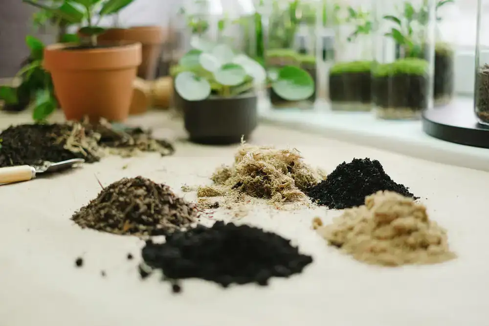 Premium organic potting soil mix